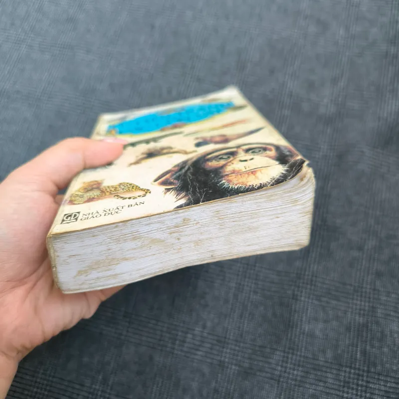 Từ điển tranh về các con vật 592501
