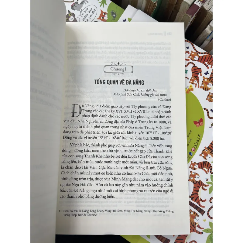 LỊCH SỬ ĐÀ NẴNG (1306 - 1975) - VÕ VĂN DẬT 976638