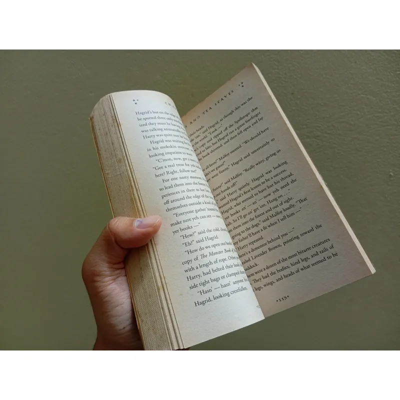 Harry potter and the prisoner of Azkaban 3, english book, sách ngoại văn  592230