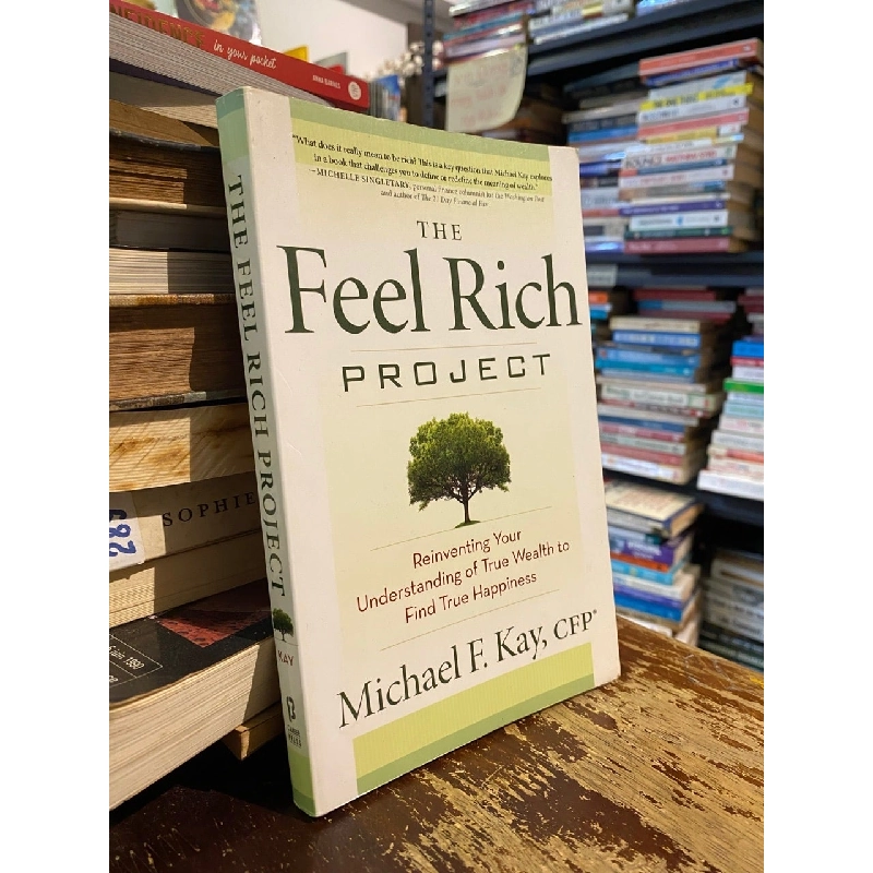 The Feel Rich Project - Michael F. Kay 1017586