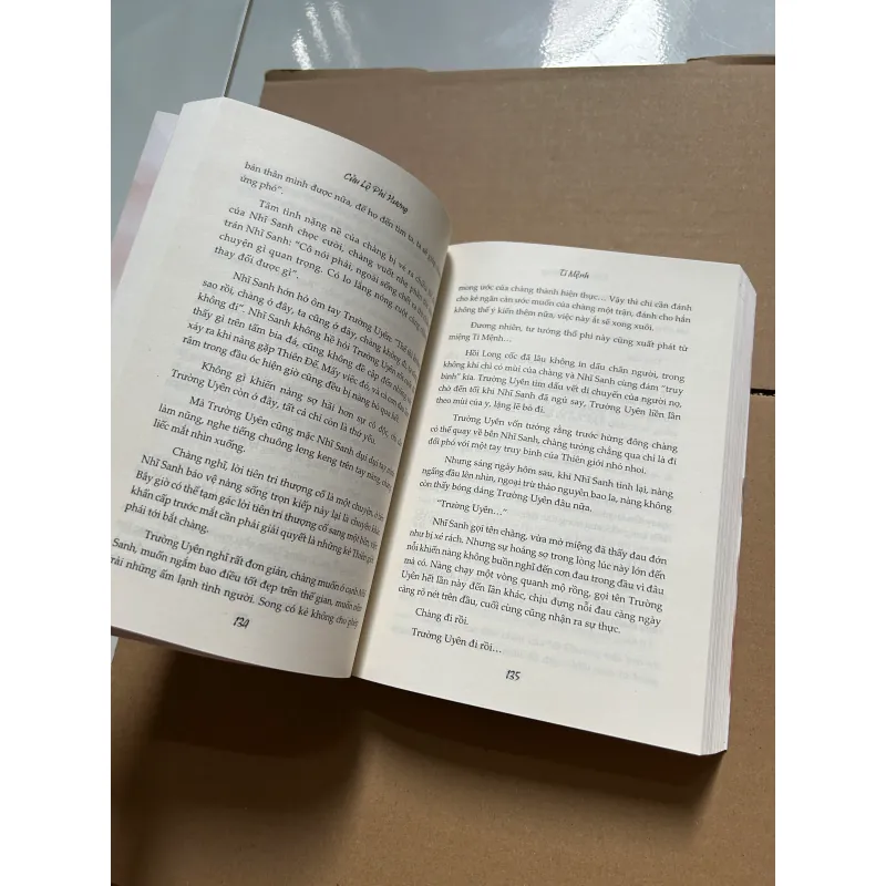 Ti mệnh - Cửu Lộ Phi Hương 960922