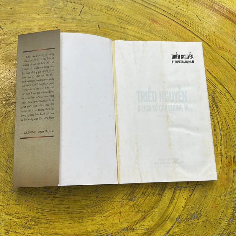 TRIỀU NGUYỄN VÀ LỊCH SỬ CỦA CHÚNG TA nhiều tác giả 689632