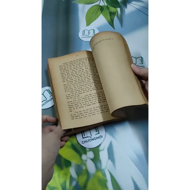 Tâm Hồn Cao Thượng (1989) 713894