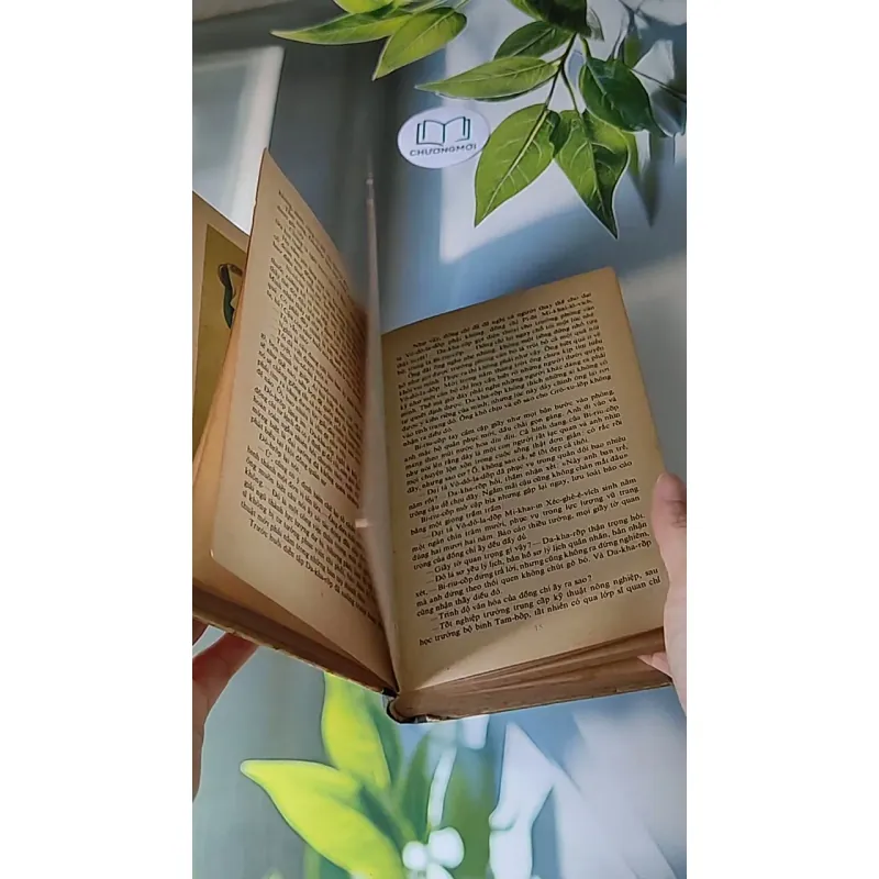 Người Thay Thế Chưa Tới (1986) - Nikolai Kambulev 607724