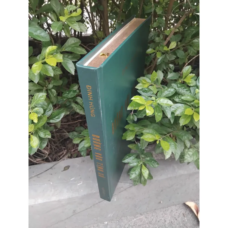 Đường vào tình sử tập thơ của Đinh Hùng  733483