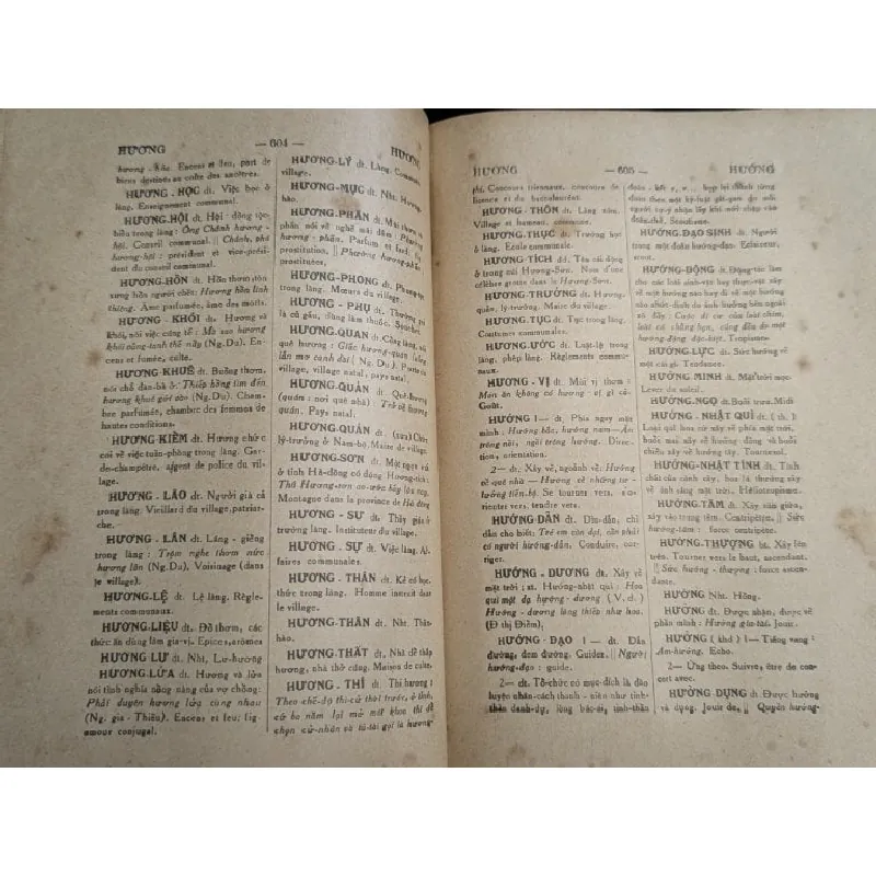 Từ điển việt nam - Thanh Nghị 713730