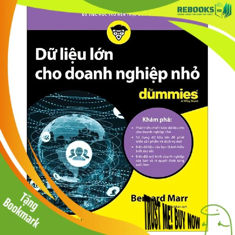 (TẶNG BOOKMARK) Dữ liệu lớn cho doanh nghiệp nhỏ for Dummies - Bernard Marr - 2020 - DUMMIES 943557