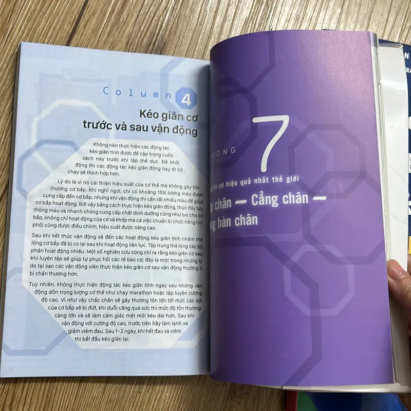 Kéo giãn cơ thể - in màu mới 99% 568775