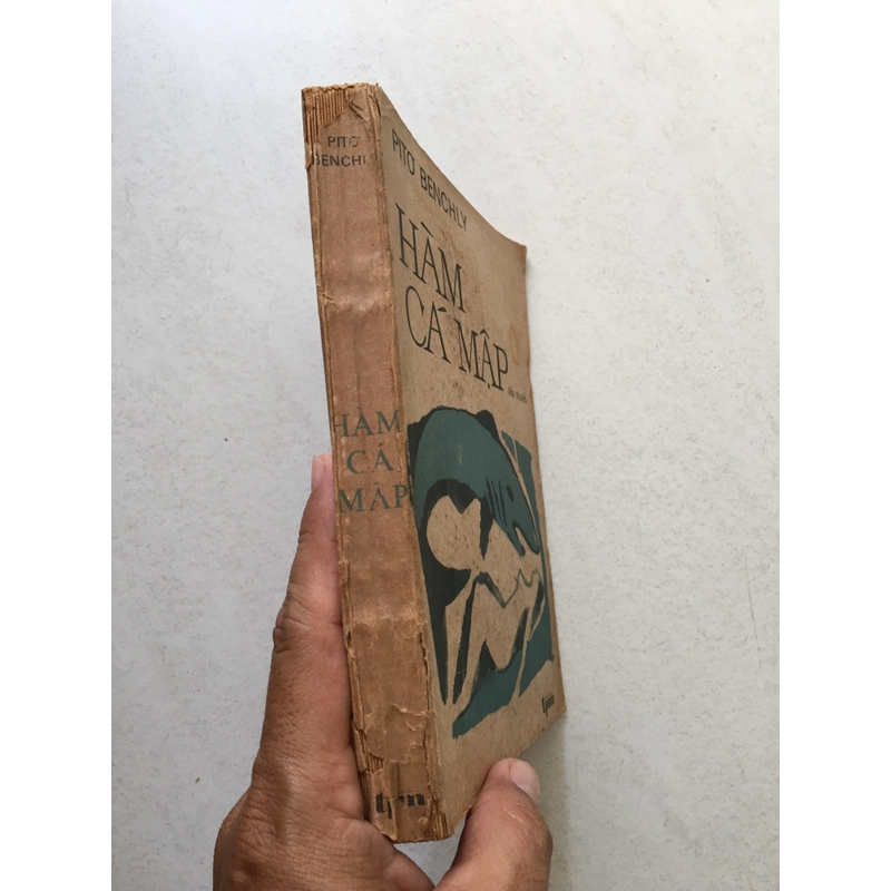 Hàm cá mập - Pito Benchly 523220