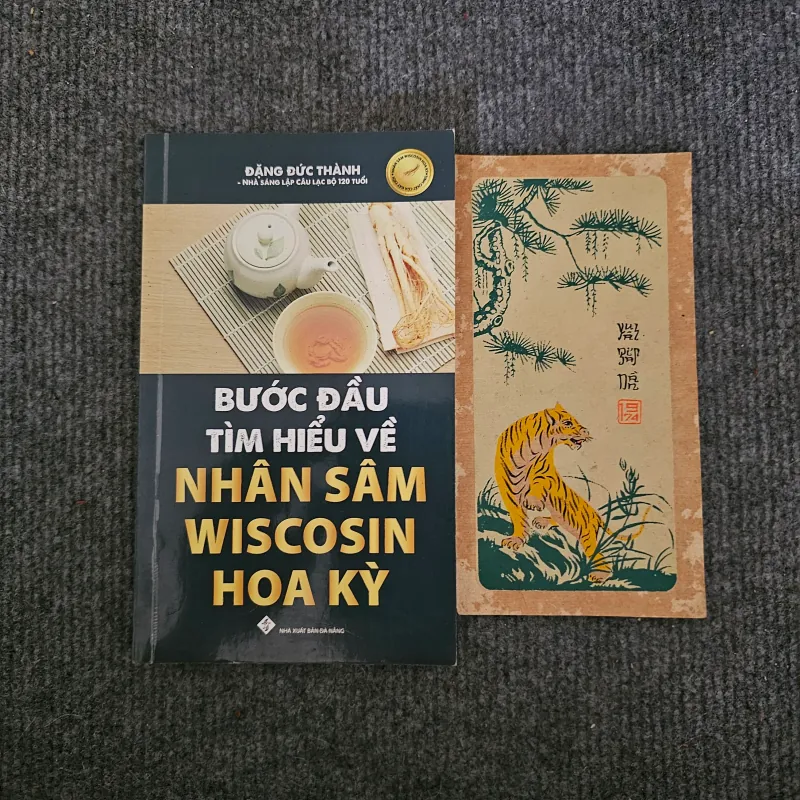 Bước đầu tìm hiểu về nhân sâm Wiscosin Hoa Kỳ - nhân sâm Mỹ 745942