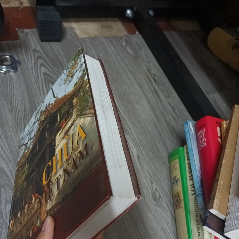 Chùa Việt Nam - Hà Văn Tấn 1025383