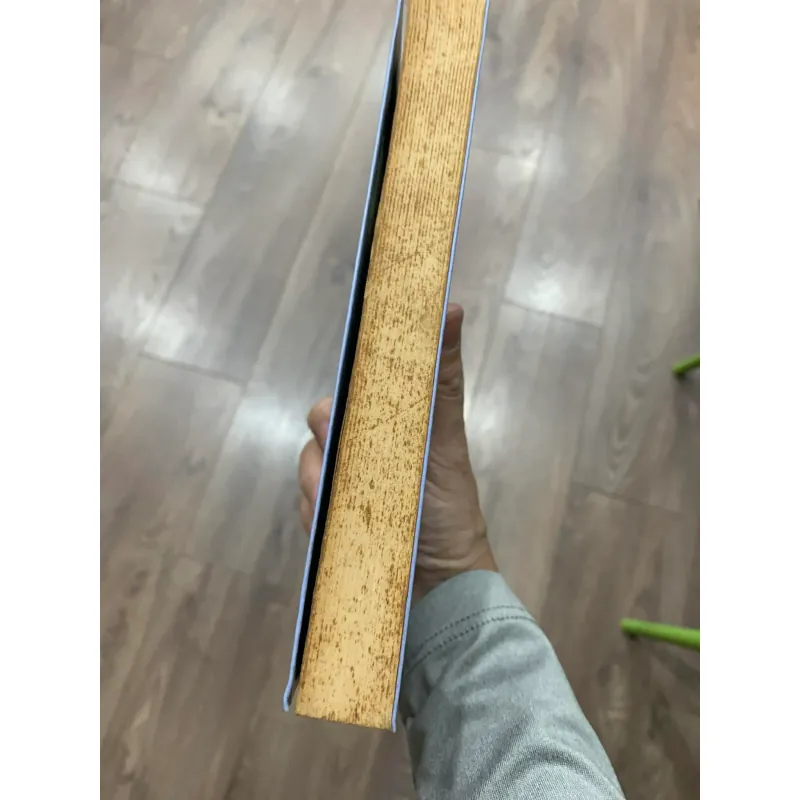 Chuyện Trò- Tác giả : Cao Huy Thuần- Sách lưu kho, giấy xốp có ố (STB/TSHatCai) 587566