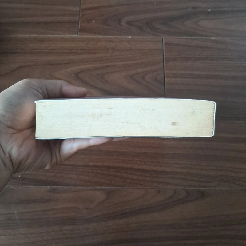 Thành phố hoang vắng 508641