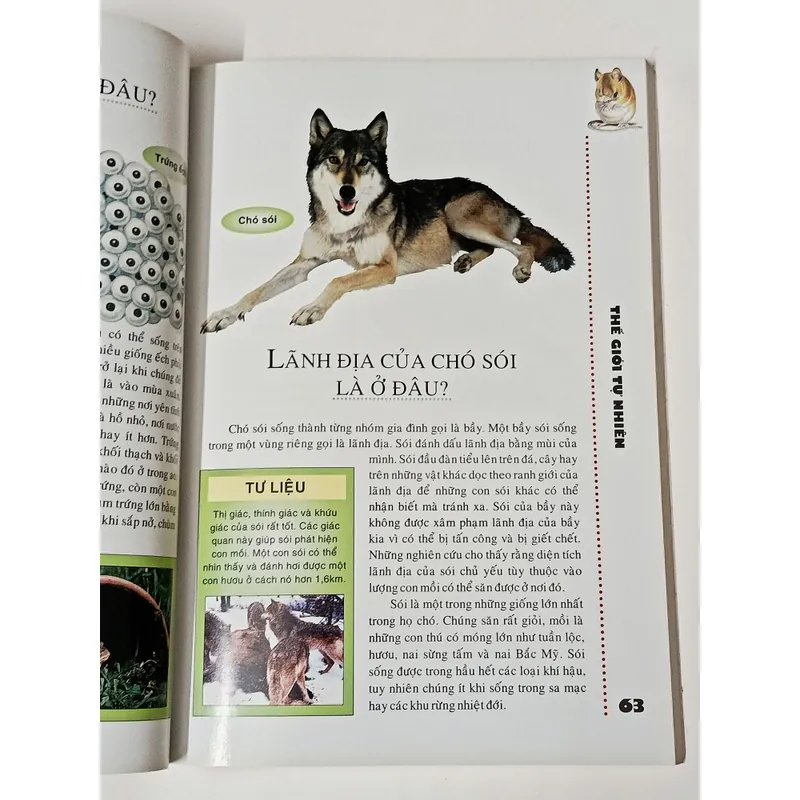 Where-Tôi Muốn Biết Ở Đâu..?  701935