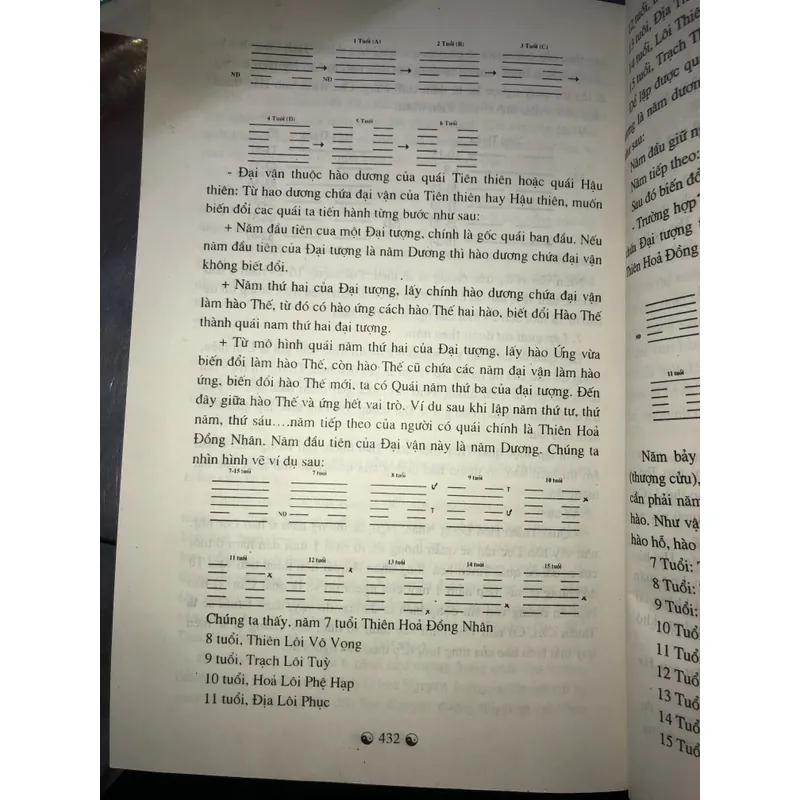 Dự đoán đời người và tứ trụ  701599