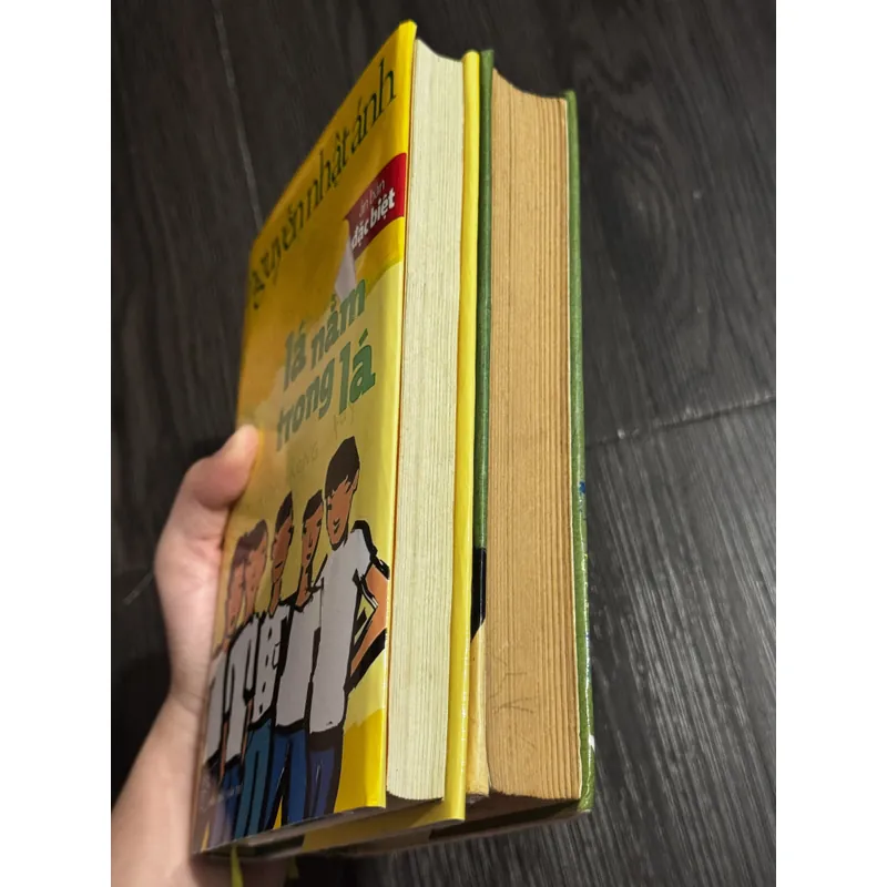 Combo 2c Nguyễn Nhật Ánh bìa cứng (đọc mô tả) 706695