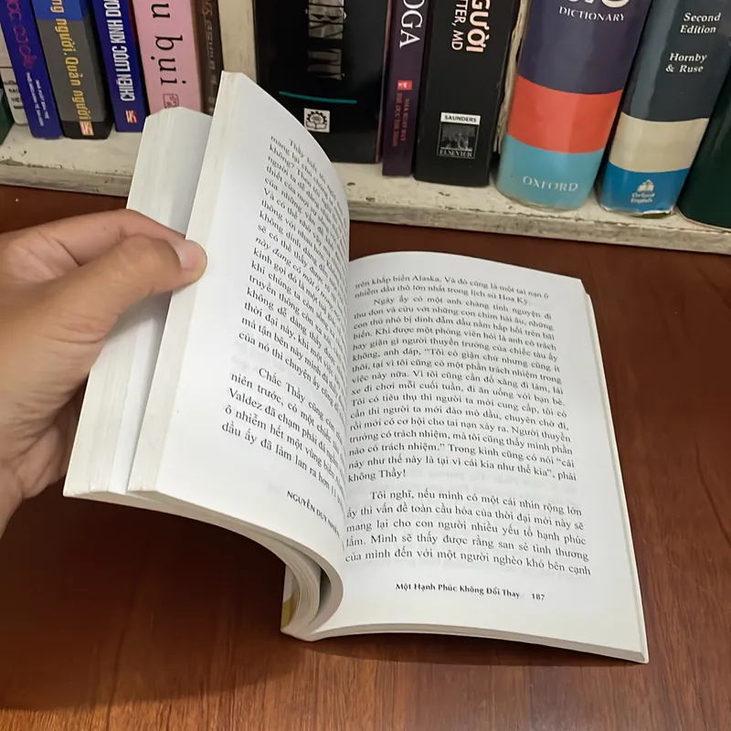 II Tựa sách: Một Hạnh Phúc Không Đổi Thay - Nguyễn Duy Nhiên 553391