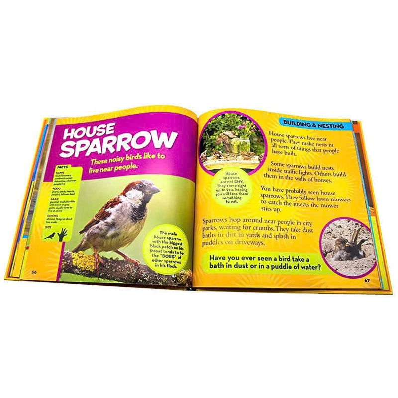 Bộ sách National Geographic Little Kids First Big Book (9 quyển tiếng Anh) 385524