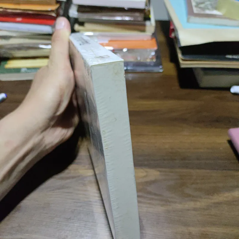 Trong Gia Đình - Hector Malot 1006044