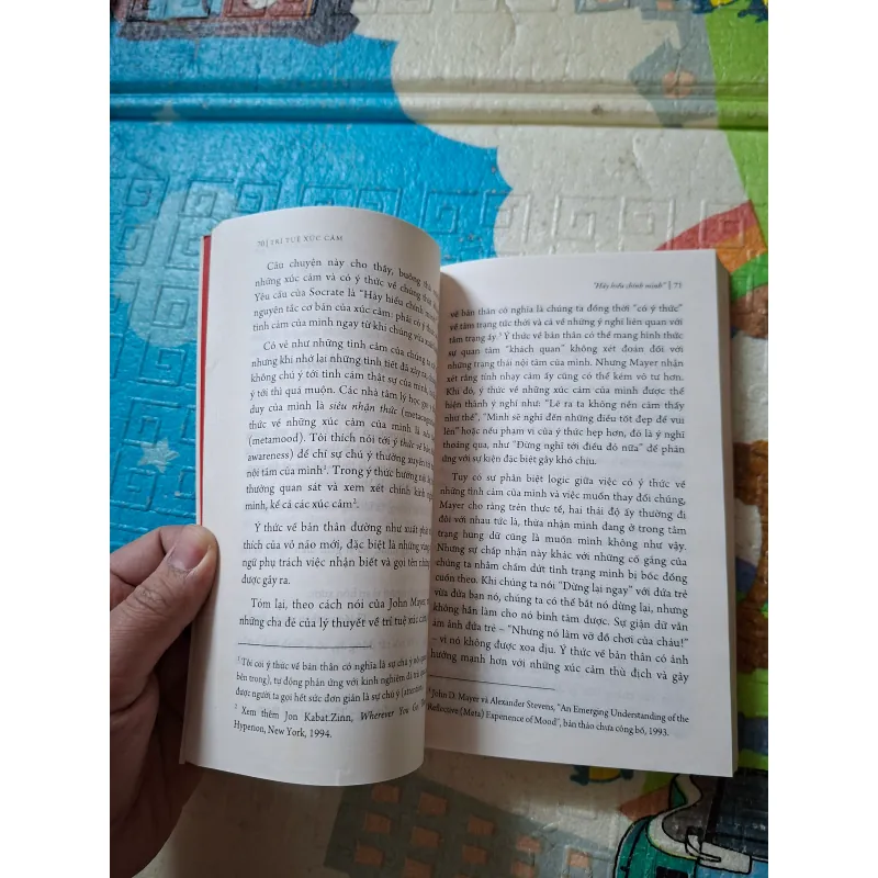 Trí Tuệ Xúc Cảm 936243