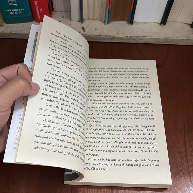 Văn Học Thiếu Nhi: Bông _ Chuyện Đời Con Sóc Xám - Ernest Thompson Seton - ROGER VU (Dịch) 709239