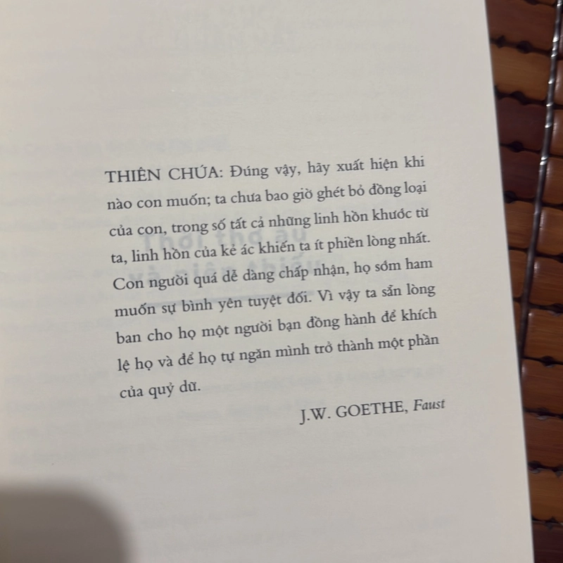 Người bạn phi thường - Elena Ferrante 530973