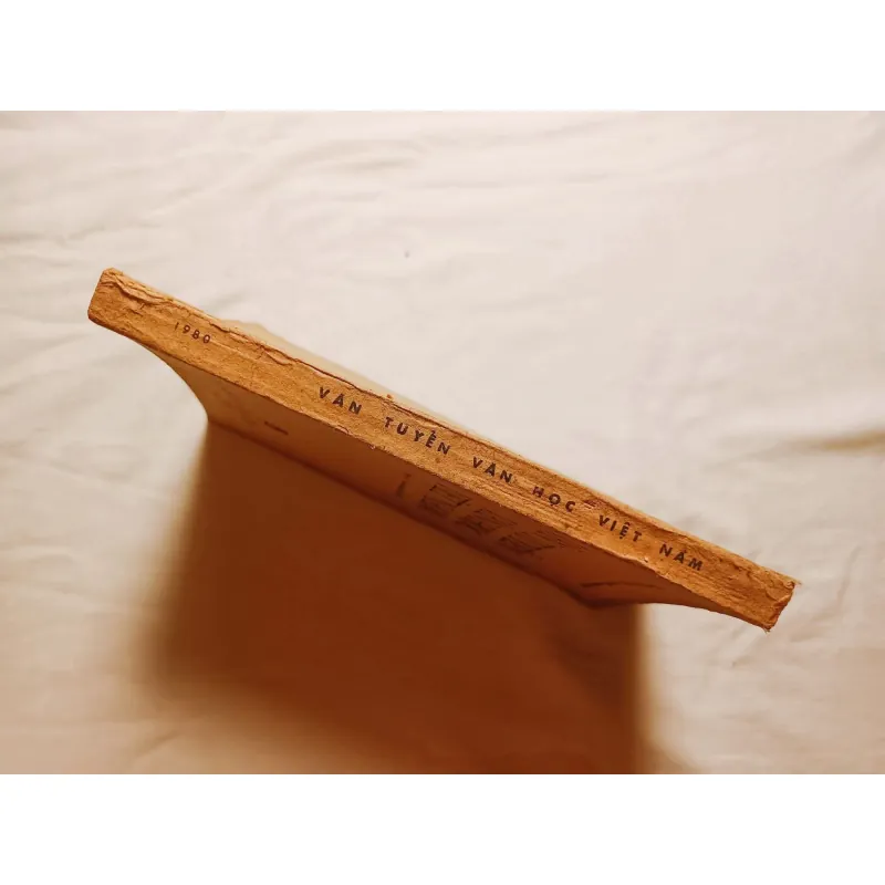 Văn Tuyển Văn Học Việt Nam ( Thế Kỷ Thứ XI - Nửa Đầu Thế Kỷ XIX ) 745317