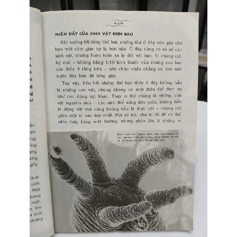 Vi Sinh Vật 549653