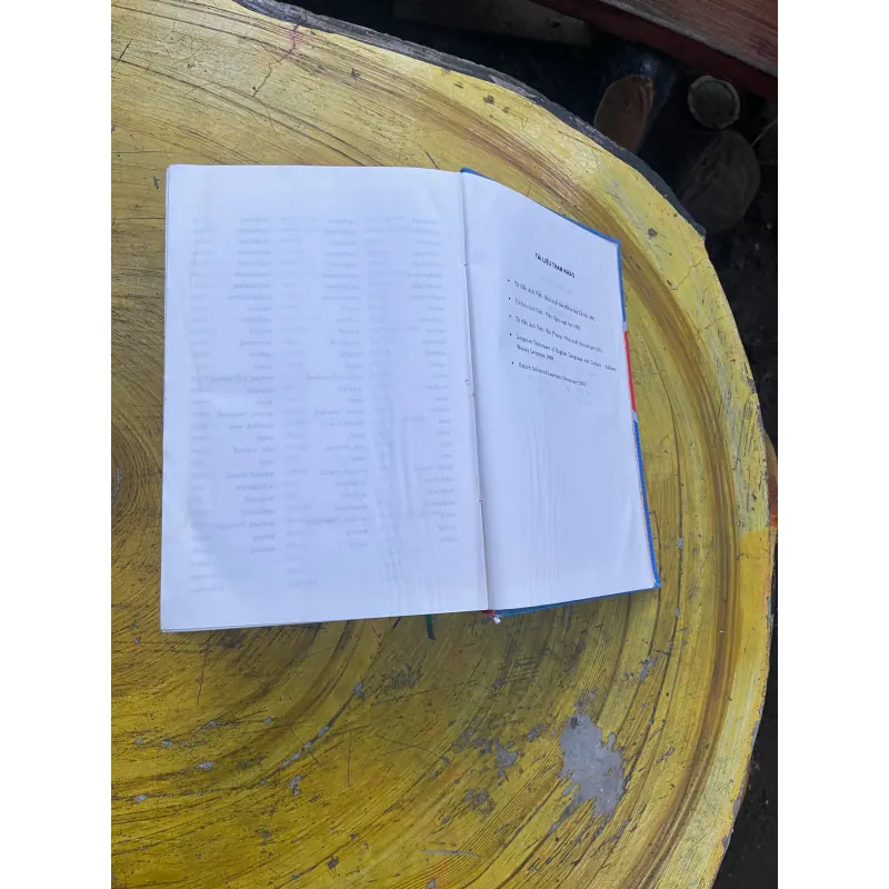 COMBO TỪ ĐIỂN ANH - VIỆT & TỪ ĐIỂN VIỆT - ANH - BÙI PHỤNG 730402