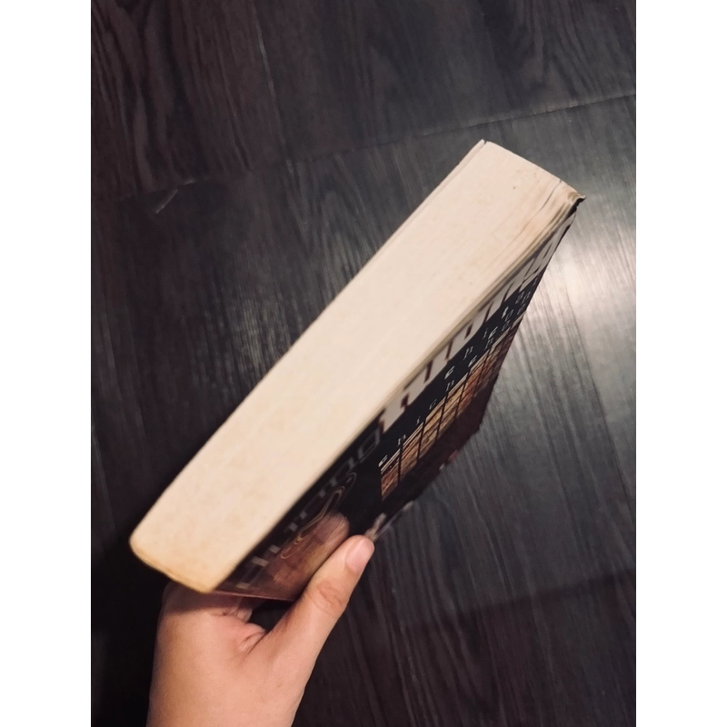 Chỉ tại con chim chích choè - Dương Tường 474118