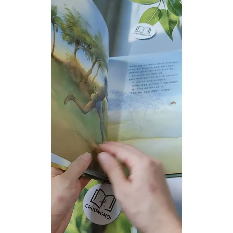 [Tặng nẹp góc] Truyện thiếu nhi Hàn Quốc: Moyamo Anu 29 -  모야모 아누와: 베이암과 두 아내 732022