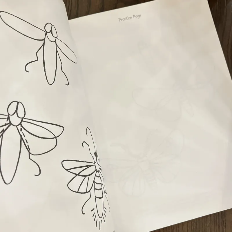 ✨𝑯𝒐𝒘 𝒕𝒐 𝑫𝒓𝒂𝒘 𝑰𝒏𝒔𝒆𝒄𝒕𝒔: 𝑺𝒕𝒆𝒑-𝒃𝒚-𝑺𝒕𝒆𝒑 𝑫𝒓𝒂𝒘𝒊𝒏𝒈𝒔!✨ 712564