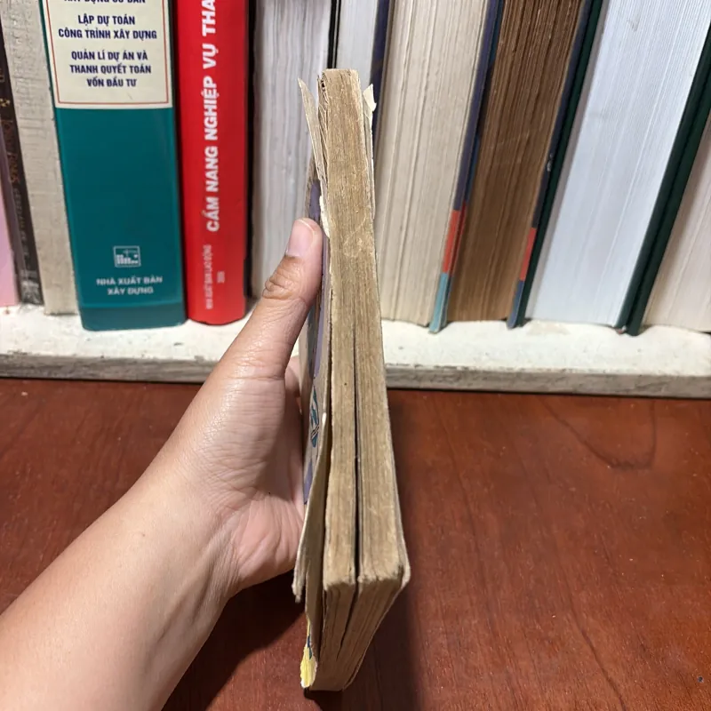 II Sách Xưa: Thầy Phù Thuỷ Đi Trong Thành Phố - IVRITÔMIN - 1985 751405