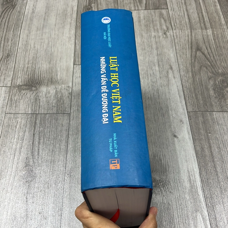 Luật học việt nam những vấn đề đương đại. 1b1 545058