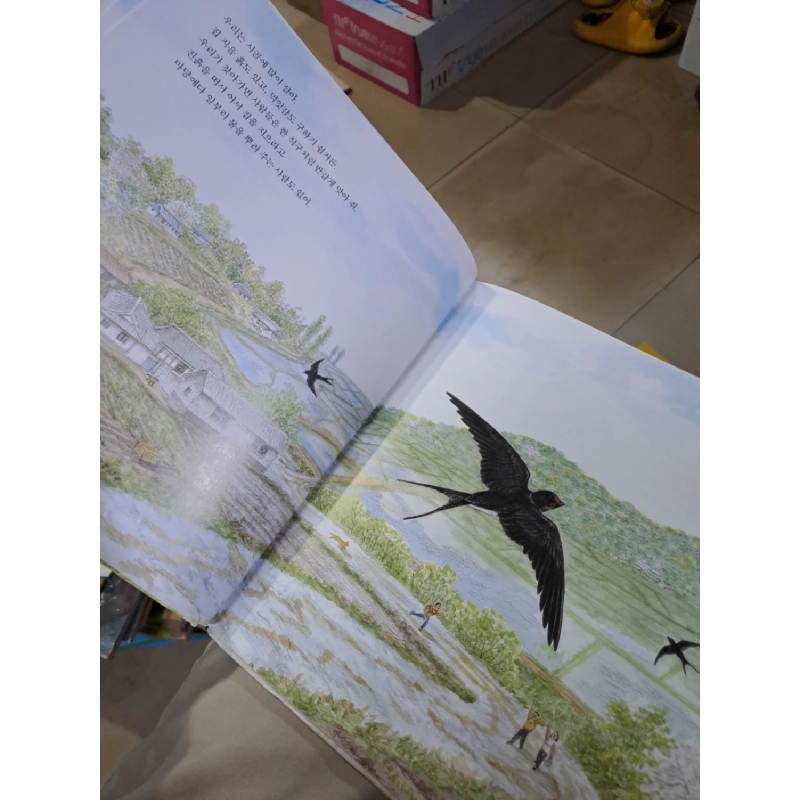 Truyện tranh bìa cứng Tiếng Hàn hình ba con chim mới 90% HCM0808 HỌC NGOẠI NGỮ 919327