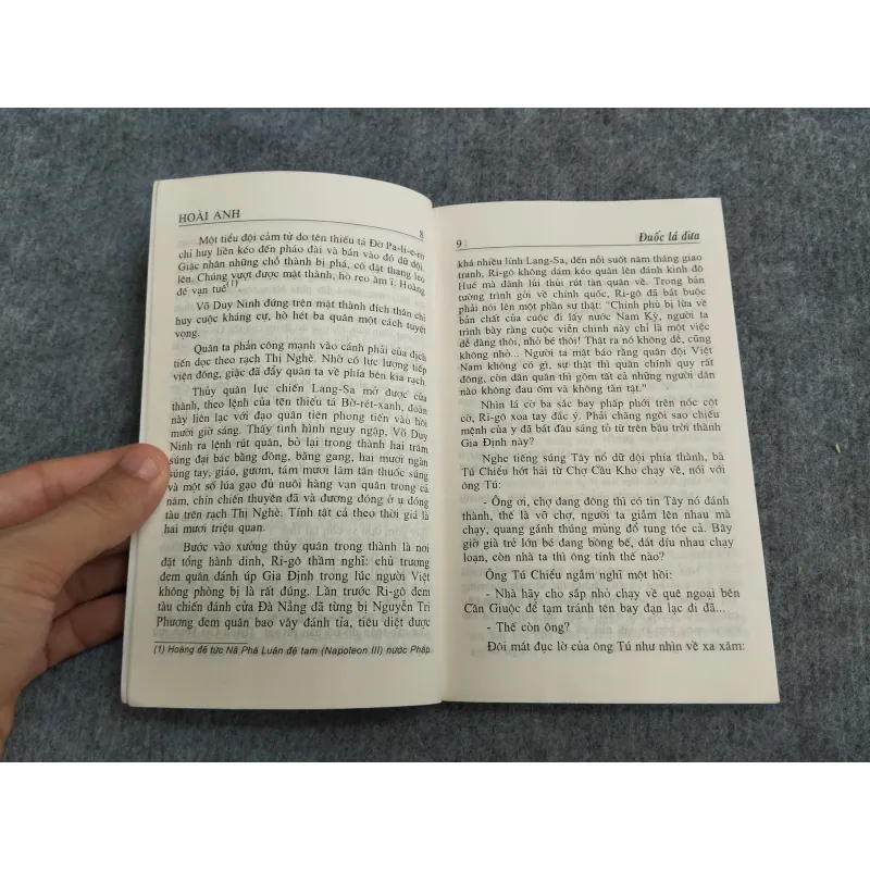 ĐUỐC LÁ DỪA - HOÀI ANH 567753