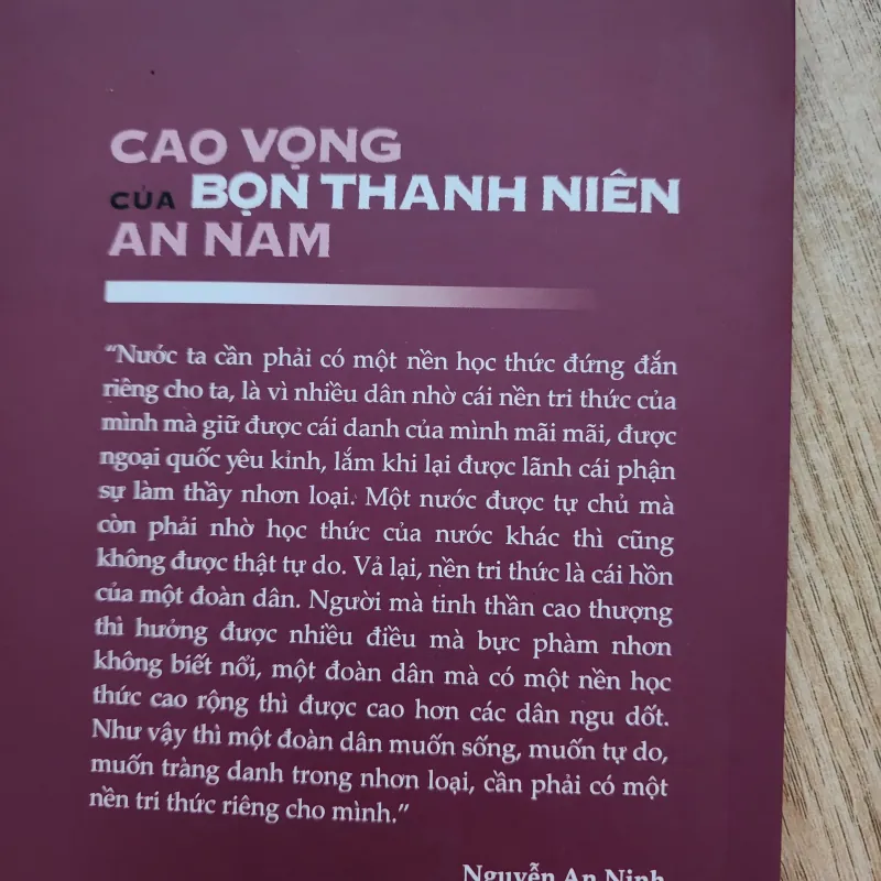 Cao vọng của bọn thanh niên an nam | nguyễn an ninh  993065
