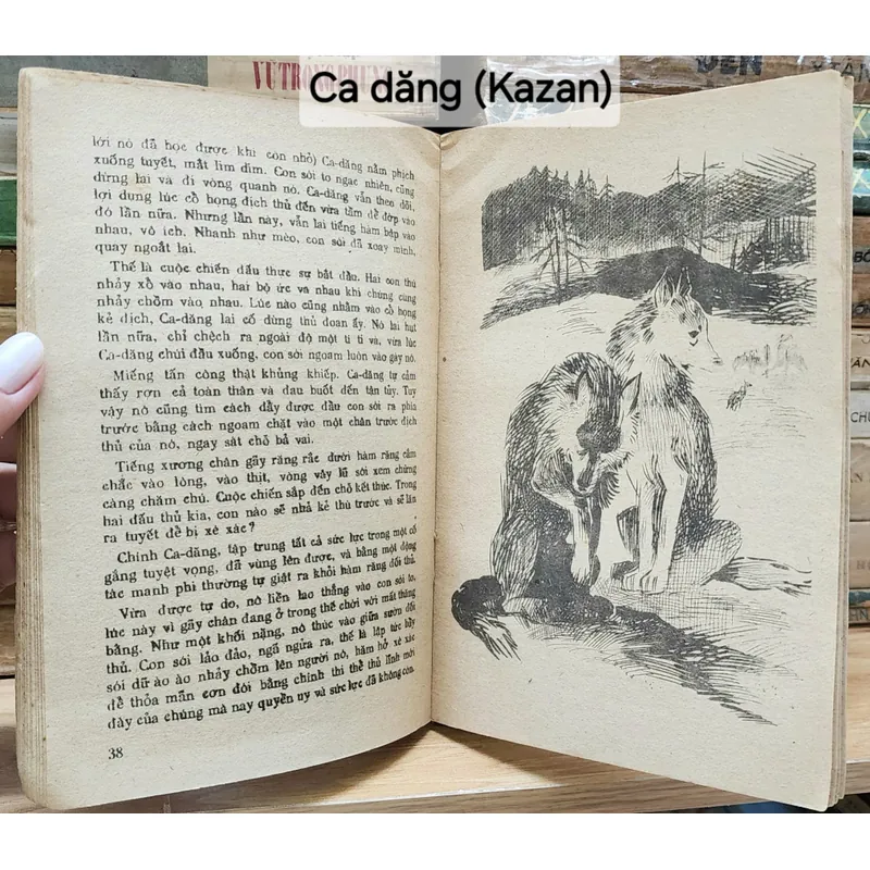 James Oliver Curwood
- Kazan (Ca-Dăng) 706894