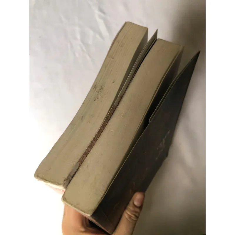 Trọn bộ 2 tập Thiên hạ là nàng - Nhuận Y 788625