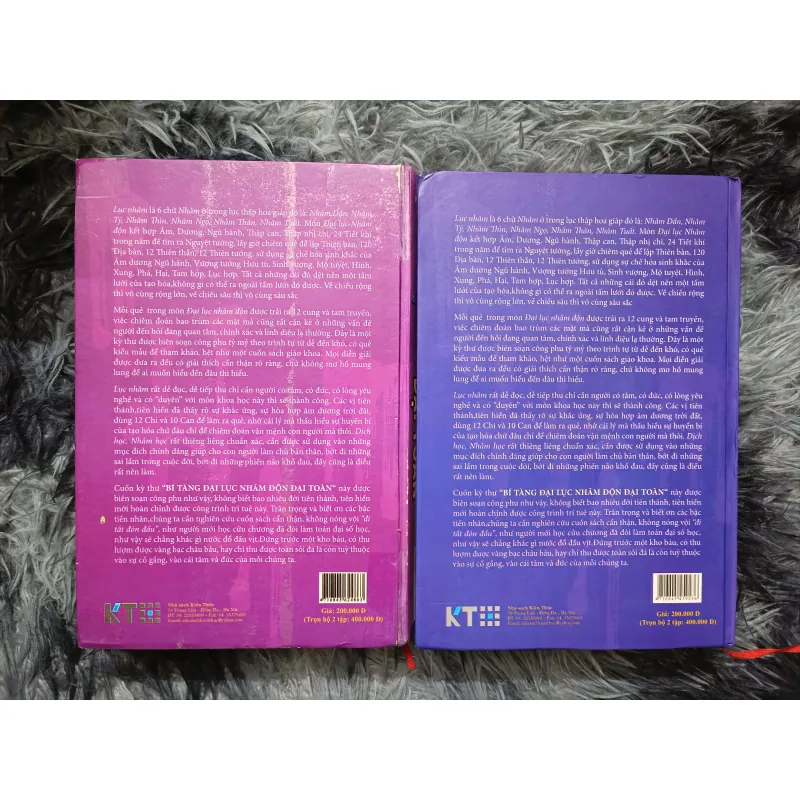 Nhâm Độn đại toàn (Bùi Ngọc Quảng) 925998