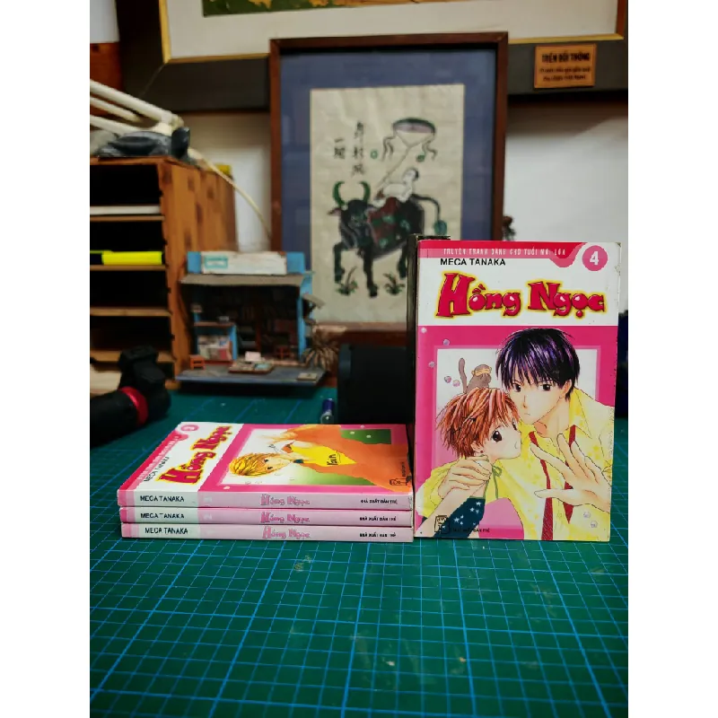 Truyện tranh Hồng Ngọc - Meca Tanaka 460833