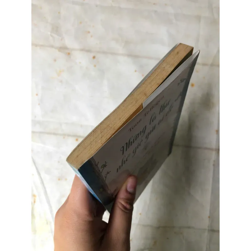 Những Lá Thư Nhờ Gió Gửi Ai Đó - Toon Tellegen, Jessica Ahlberg 800977