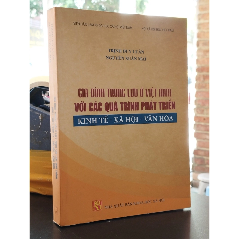 Gia đình trung lưu ở Việt Nam với các quá trình phát triển kinh tế-xã hội-văn hoá - Nhiều tác giả 361196
