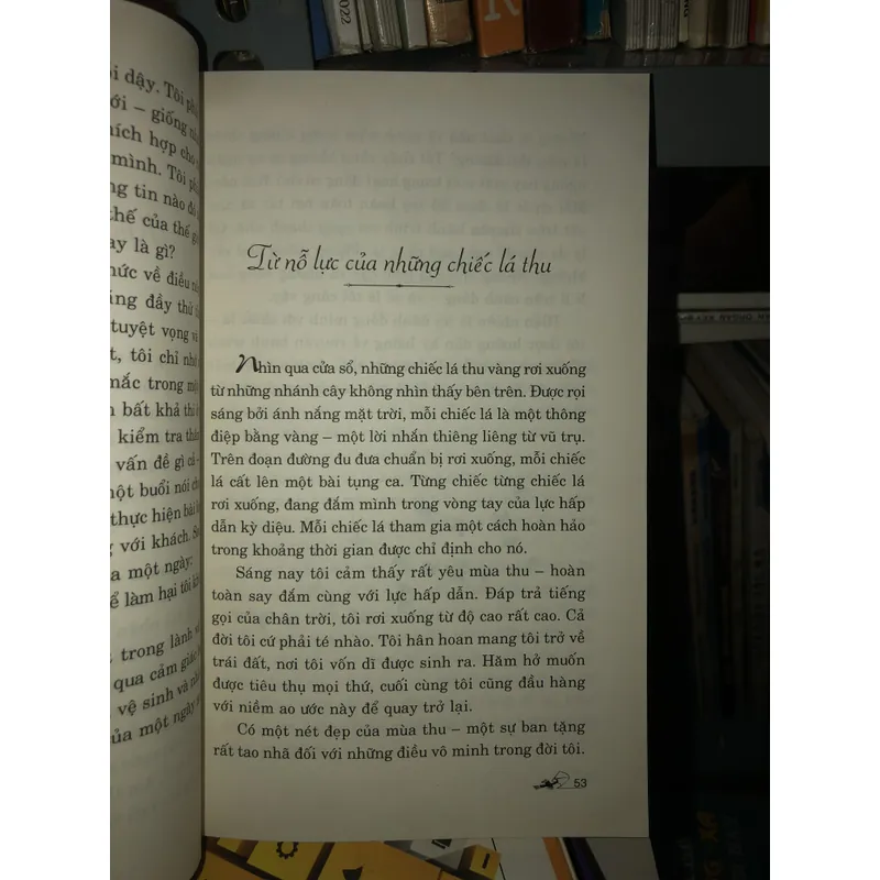 Hồi ức thiền bốn mùa - Chân lý không bao giờ sai - David Rynick 697474