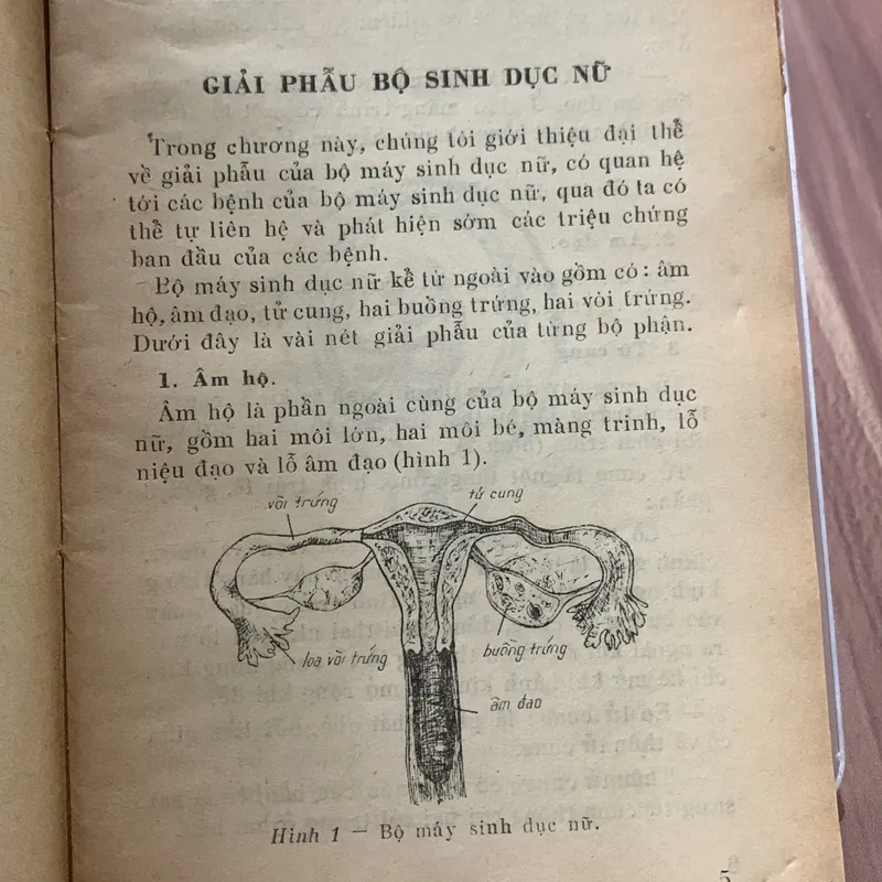 Những bệnh phụ khoa thông thường, Dương Thị Cương 622727