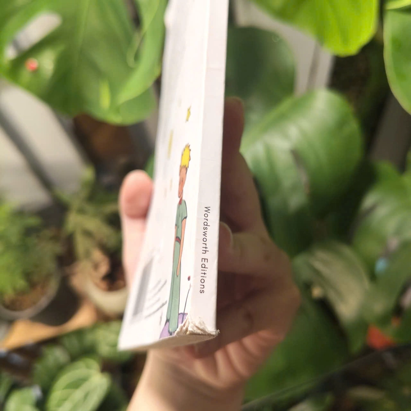 The Little Prince - Antoine de Saint-Exupéry 528483