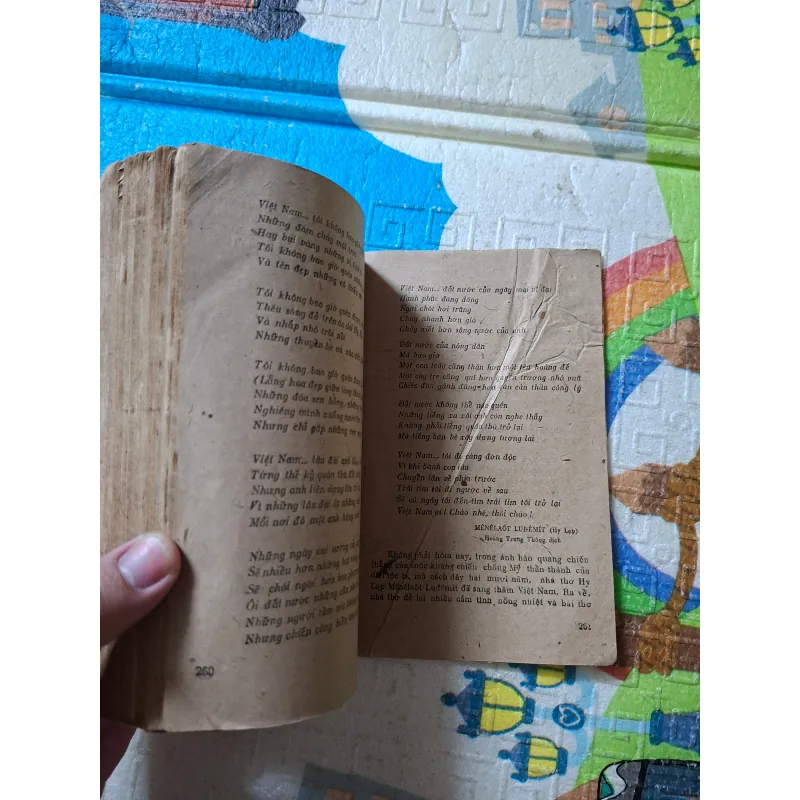 Những Vẻ Đẹp Thơ 995062