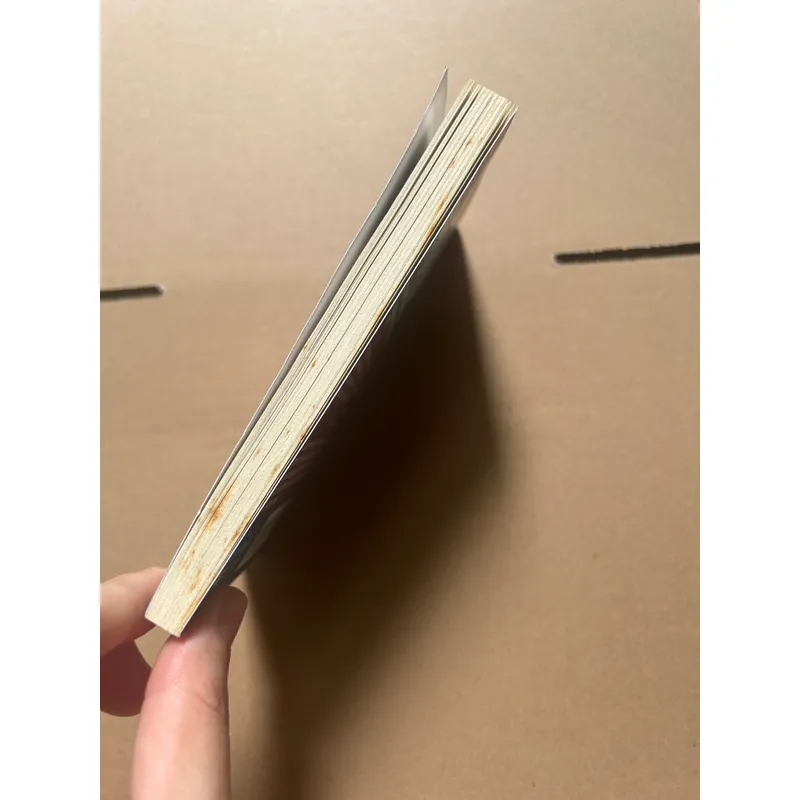 Bí mật của may mắn (khổ nhỏ) 675129