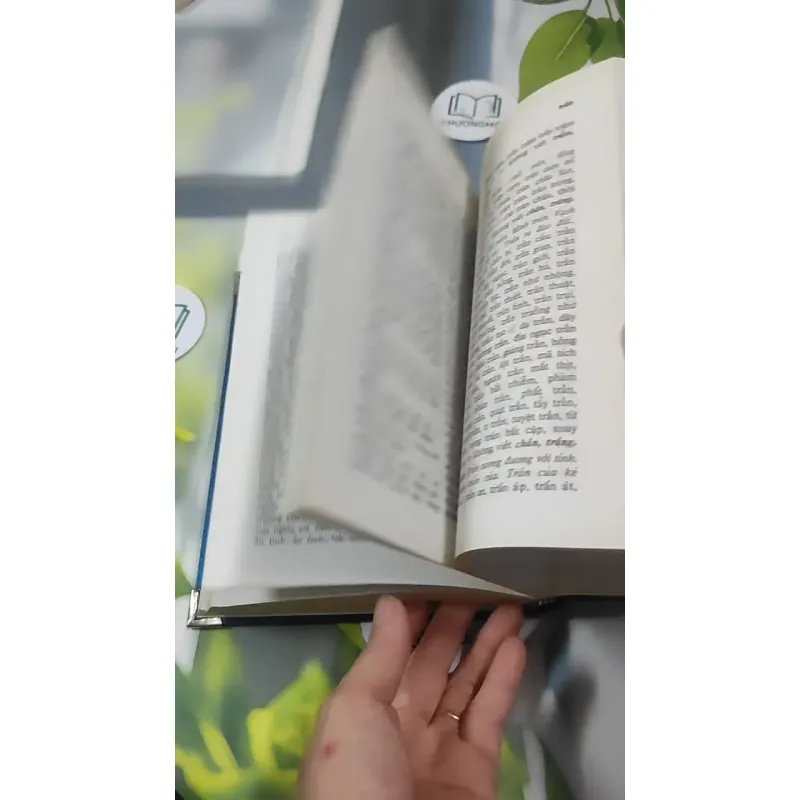 Từ Điển Chính Tả Tiếng Việt Phổ Thông - Nguyễn Văn Khang 727389