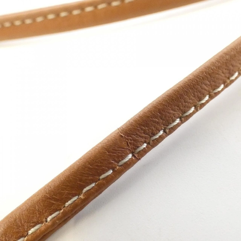 Túi đựng điện thoại Celine New Phone Pouch 10F683CLO 627330